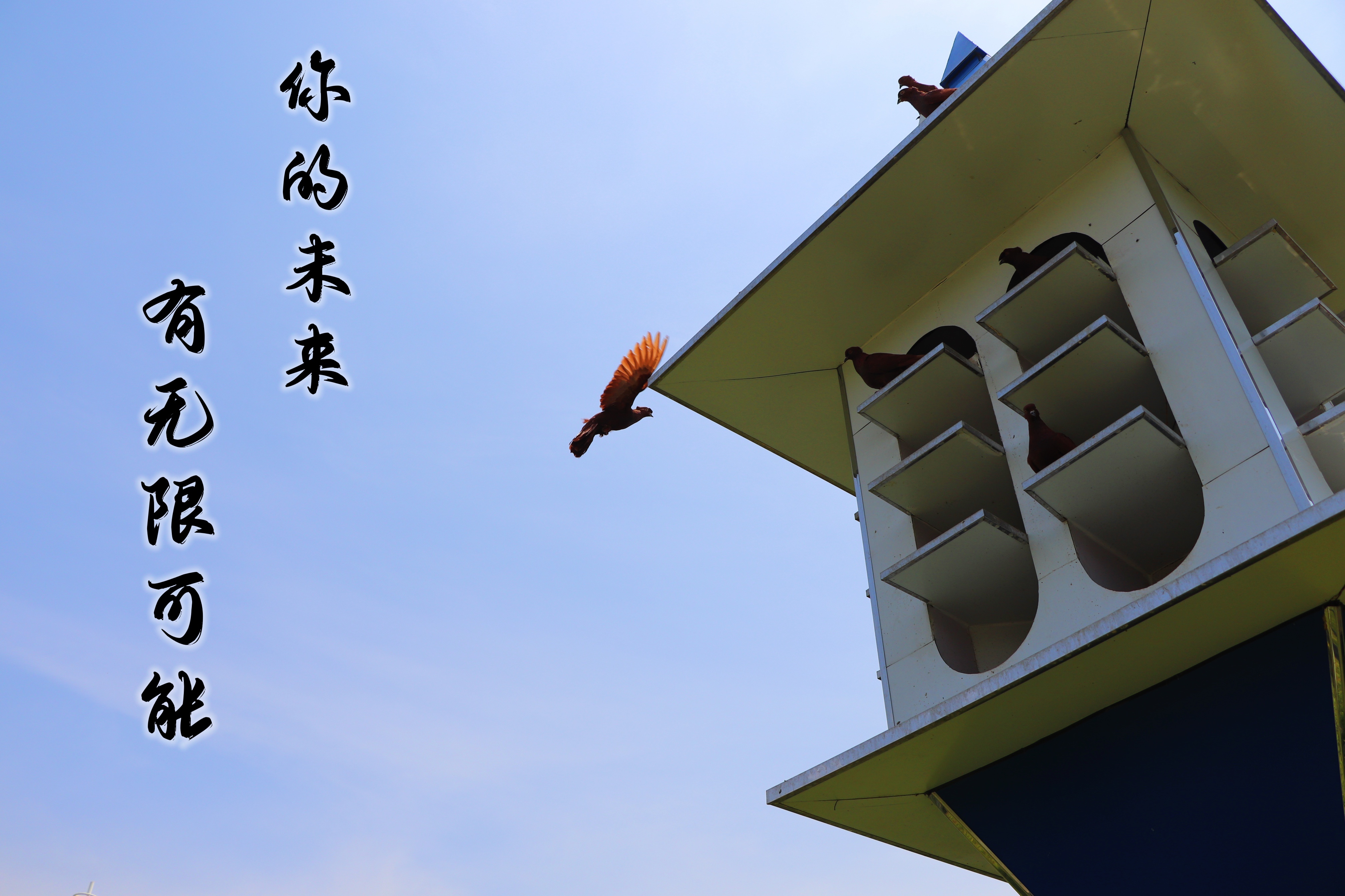 【濟(jì)寧大運(yùn)河駕?！壳の炊ǎ阶晕覠o(wú)悔青春！(圖3)