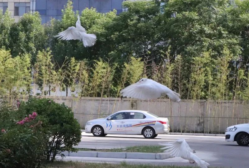 【濟(jì)寧大運河駕校】金秋九月學(xué)車季，期待與您的相遇~(圖2)