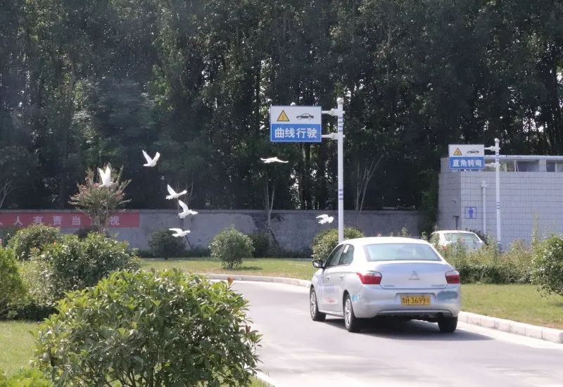【濟(jì)寧大運河駕校】金秋九月學(xué)車季，期待與您的相遇~(圖3)