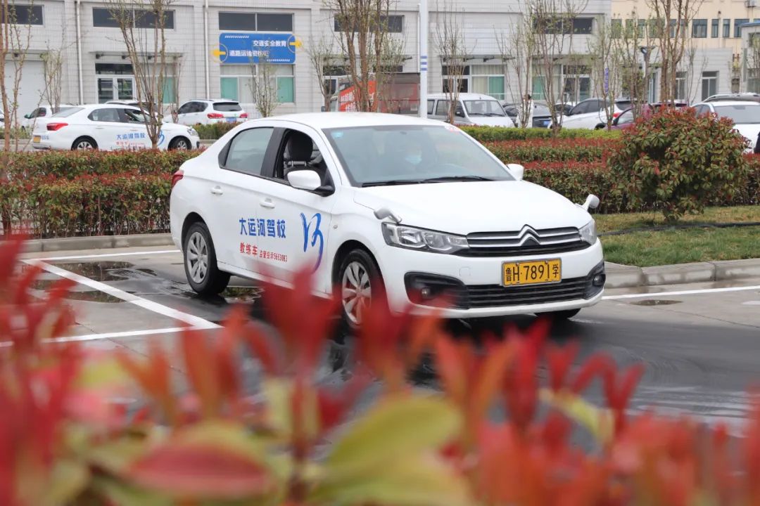 【濟(jì)寧大運(yùn)河駕校】春分丨不負(fù)好春光，從學(xué)本駕照開始！(圖2)