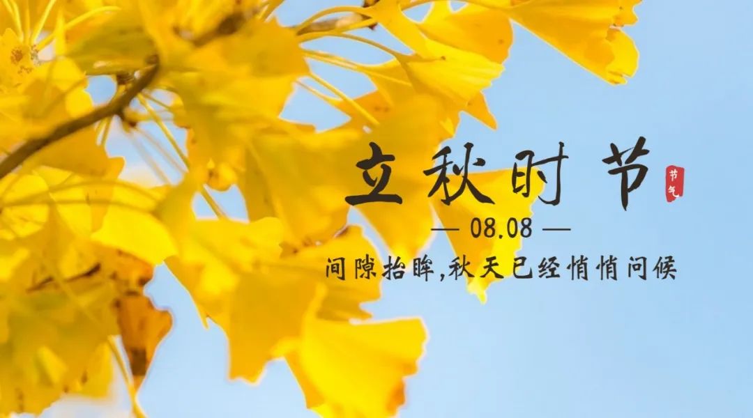 【濟(jì)寧大運(yùn)河駕?！勘Ａ粝牡臒崆椋枷蚴斋@的秋天！(圖3)