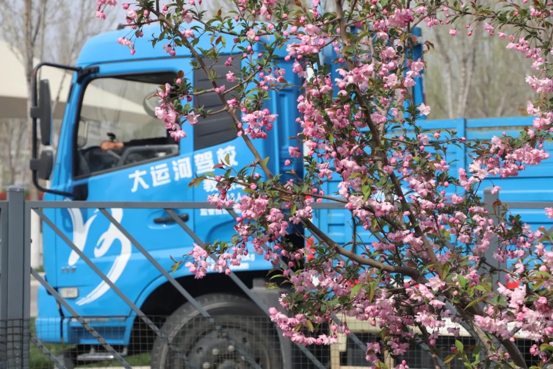 【濟寧大運河駕?！坎回摵么汗猓瑢W車正當時！(圖2)