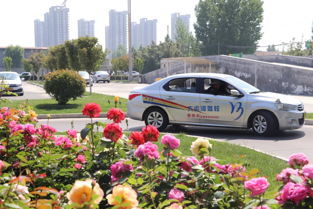 【濟(jì)寧大運(yùn)河駕?！俊俺跸摹毙∶篮茫逶聦W(xué)車正當(dāng)時(shí)~(圖5)