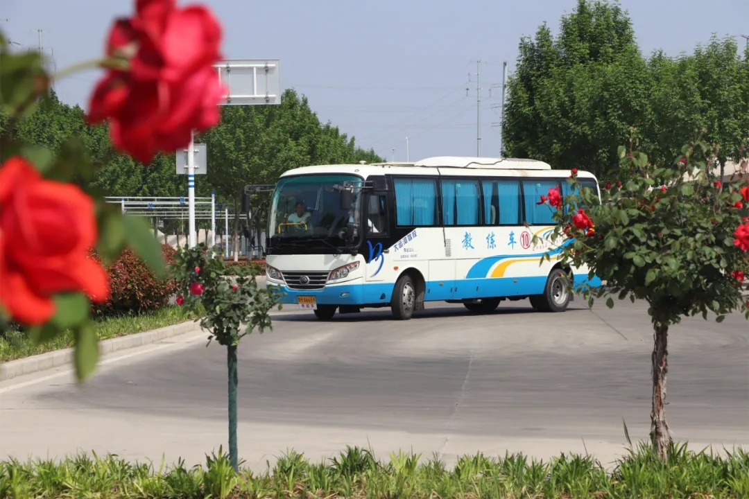 【濟(jì)寧大運(yùn)河駕校】“初夏”小美好，五月學(xué)車正當(dāng)時(shí)~(圖7)